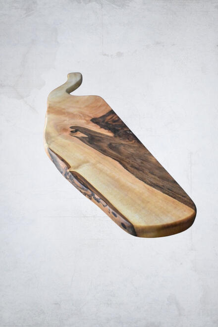 Varius leo fermentum